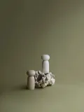 Набор мельниц для соли и перца blomus Moli из ясеня, 2 предмета — фото 5