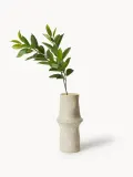 Botane Ветка декоративная Ruscus — фото 1