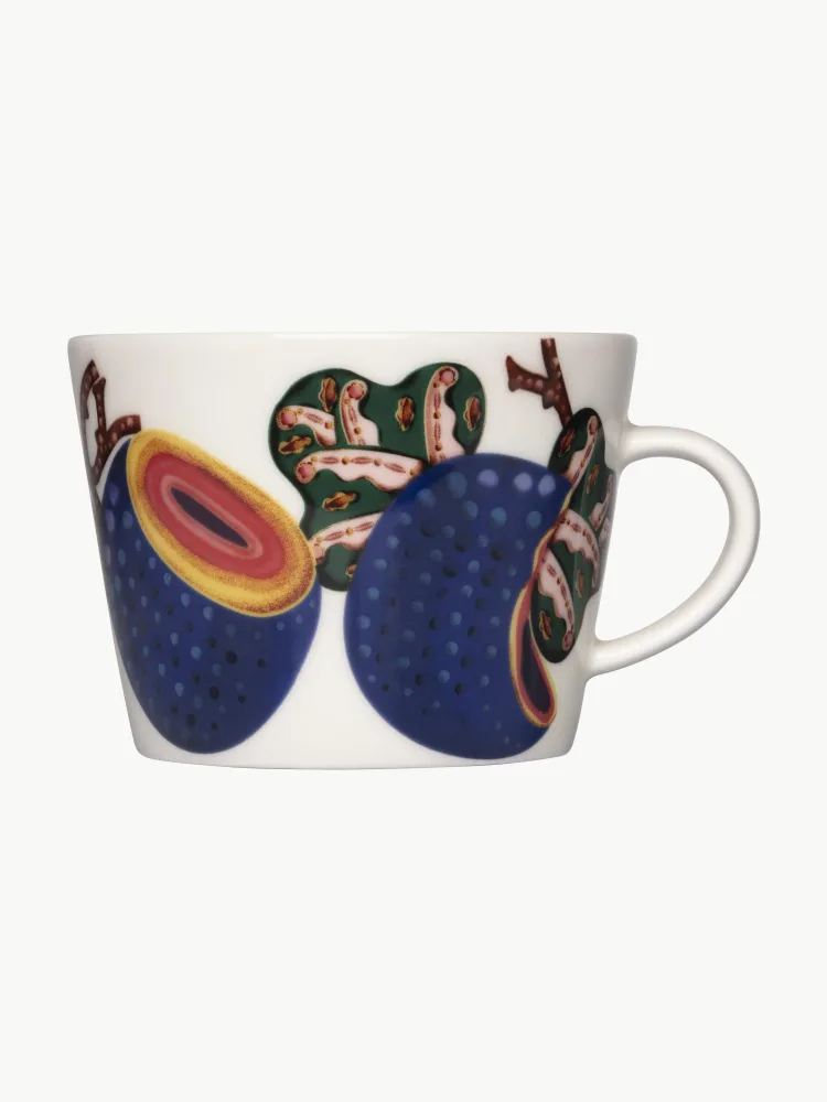 Iittala Кофейная чашка Taika Sato