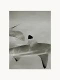 Paper Collective Постер Abyssal фотографа Айна Раадика — фото 4