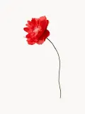 STUDIO ABOUT Искусственный цветок ручной работы Oriental Poppy из крепированной бумаги, Д 43 см, Красный — фото 1