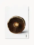 TASCHEN Книга The Gourmand Mushroom о грибах в кулинарии и искусстве, альбом в твёрдом переплёте, 292 страницы, 20х28 см — фото 4