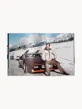 teNeues Книга The Stylish Life: Skiing — альбом об истории горных лыж и альпийском стиле, твёрдый переплёт, 176 страниц — фото 7
