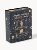 Набор ароматических свечей Trudon Fir, 4 предмета — фото 2