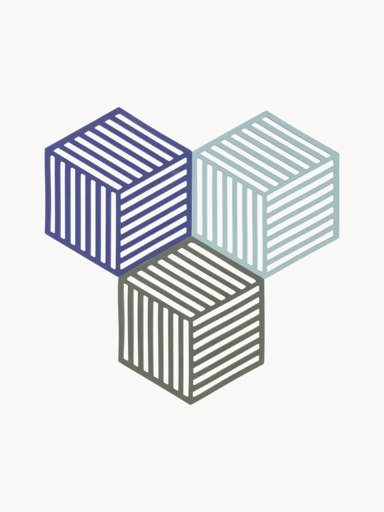 Zone Denmark Набор подкладок Hexagon, силикон, 3 шт