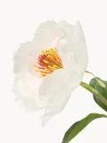 Botane Искусственный декоративный цветок One Head Peony — фото 2