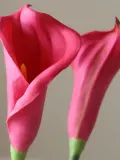 Botane Искусственные цветы Calla Lily, Д 45 см, Ягодный — фото 3