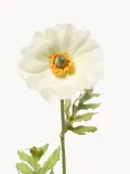 Botane Искусственные цветы Large Poppy — фото 2