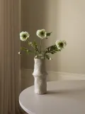 Botane Искусственные цветы Large Poppy — фото 5
