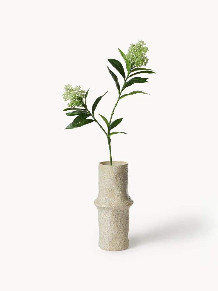 Botane Ветка декоративная Skimmia Berry