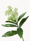 Botane Ветка декоративная Skimmia Berry — фото 3