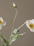 Botane Искусственный декоративный цветок Poppy, Д 56 см, Белый — фото 5