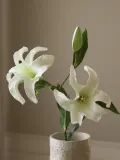 Botane Искусственный декоративный цветок Small Lily — фото 3