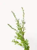 Botane Искусственные цветы Wild полевые, длина 83 см — фото 3