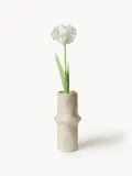 Botane Искусственные цветы Parrot Tulip попугайный тюльпан, длина 69 см — фото 1