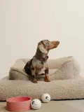 Buddys Dogwear Ошейник для собак Naya ручной работы тканый с латунной пряжкой, длина 32 см, сине-красный — фото 4