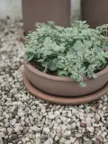 DBKD Кашпо уличное из терракоты Terra, высота 11 см, Ø 30 × В 11 см, Nugatowy — фото 7