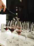 Eva Solo Складная лейка для вина Apero из силикона со стальным носиком, 13 см — фото 3