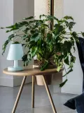 Fatboy Светильник уличный Edison the Ambiance бирюзовый — фото 5