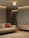 Maytoni Потолочный светильник Scala светодиодный с рифлёным стеклянным плафоном — фото 5