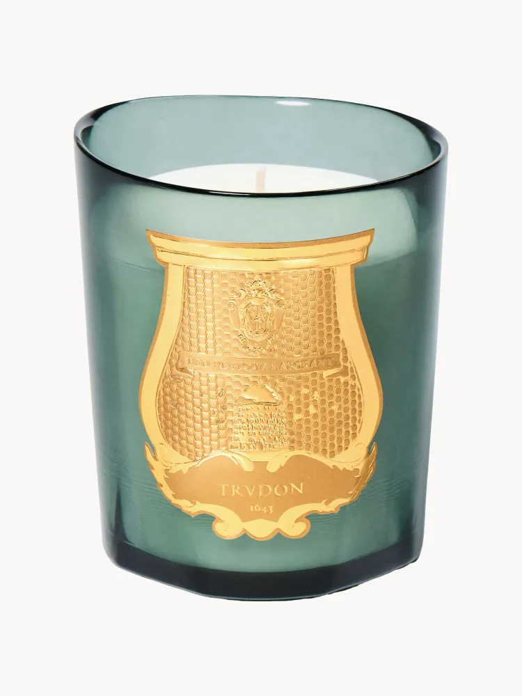Ароматическая свеча Trudon Figuerie