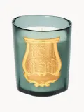 Ароматическая свеча Trudon Figuerie — фото 1