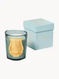 Ароматическая свеча Trudon Figuerie — фото 2