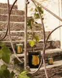 Ароматическая свеча Trudon Figuerie — фото 3