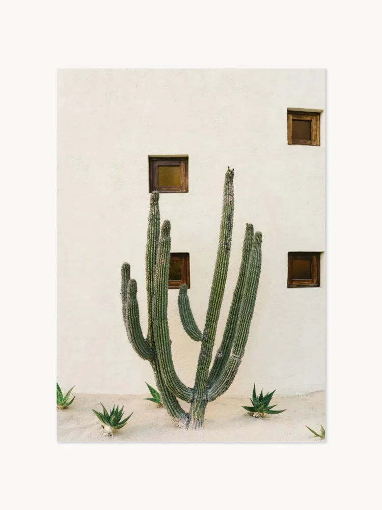 Poster and Frame Постер Cabo Cactus IX