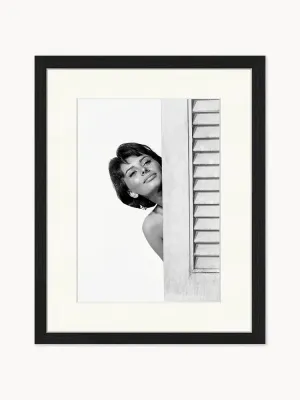 Any Image Картина Sophia Loren