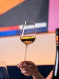 Zwiesel Glas Бокал для белого вина Kolibri — фото 3