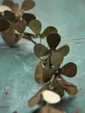 House Doctor Украшение новогоднее Clover в виде венка — фото 3