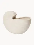 Ferm Living Кашпо Shell в форме раковины, 23х12 см, высота 16 см — фото 4