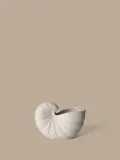 Ferm Living Кашпо Shell в форме раковины, 23х12 см, высота 16 см — фото 5