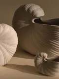 Ferm Living Кашпо Shell в форме раковины, 23х12 см, высота 16 см — фото 6