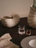 Ferm Living Кашпо Shell в форме раковины, 23х12 см, высота 16 см — фото 7
