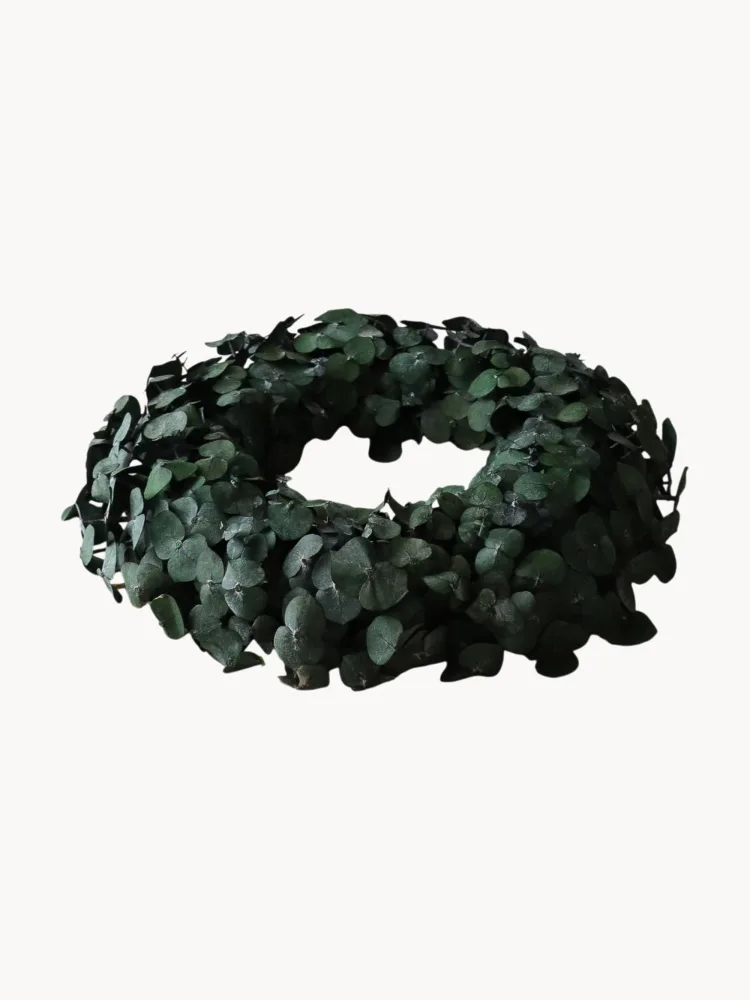 Botane Венок декоративный Eucalyptus Halo