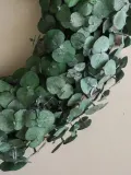 Botane Венок декоративный Eucalyptus Halo — фото 2