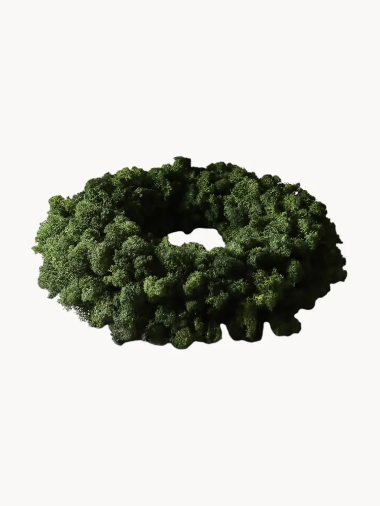 Botane Венок декоративный Moss, зелёный