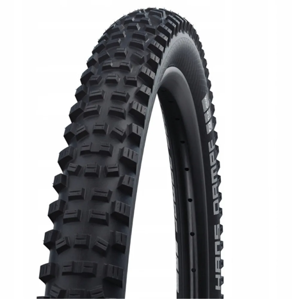Покрышка велосипедная Schwalbe Hans Dampf Performance