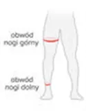 Утеплители ног ASSOS GT Spring Fall Leg Warmers C2 — фото 4