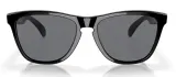 Очки велосипедные Oakley Frogskins — фото 2