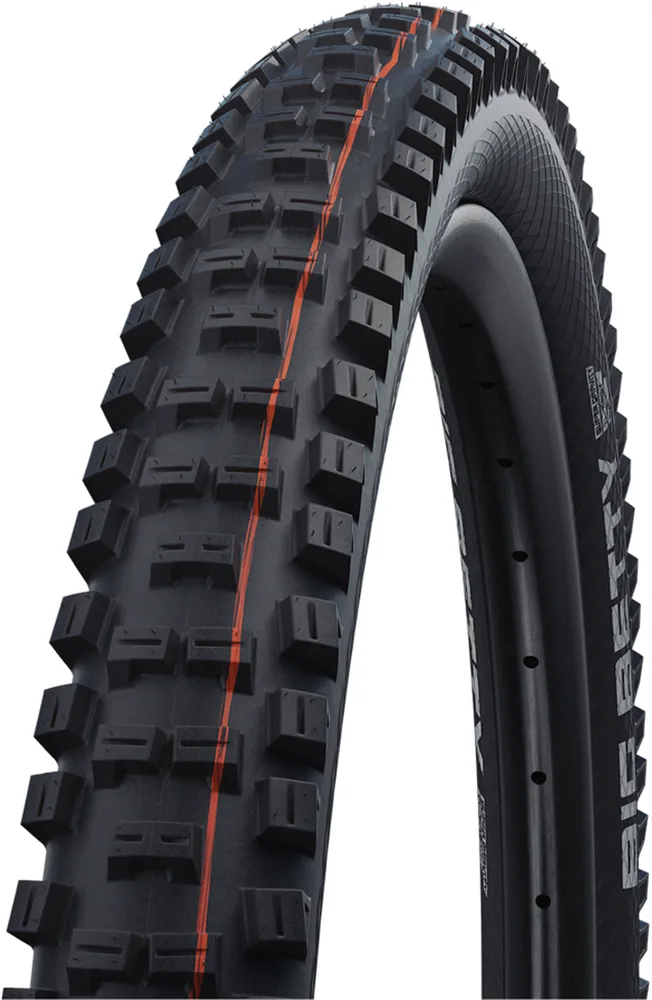 Покрышка велосипедная Schwalbe Big Betty Evolution