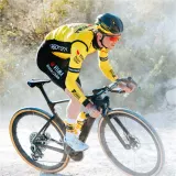 Покрышка велосипедная Vittoria Corsa Pro Control G2.0 — фото 4