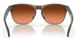 Очки велосипедные Oakley Frogskins Lite PRIZM Brown Gradient — фото 3