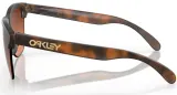 Очки велосипедные Oakley Frogskins Lite PRIZM Brown Gradient — фото 4