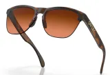 Очки велосипедные Oakley Frogskins Lite PRIZM Brown Gradient — фото 5