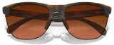 Очки велосипедные Oakley Frogskins Lite PRIZM Brown Gradient — фото 6