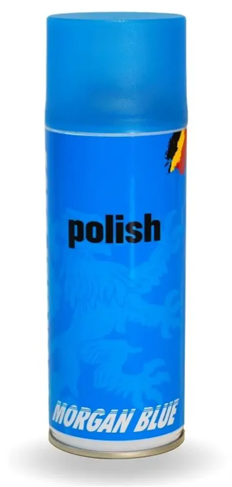 Защитное средство Morgan Blue Polish spray