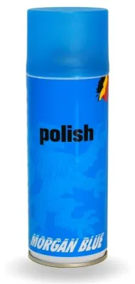 Защитное средство Morgan Blue Polish spray